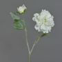 Konstgjord pionkvist MALINE, snötäckt, vit, 60cm, Ø13cm