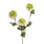 Konstgjord kvist Scabiosa caucasica ANAYS, vitgrön, 80cm