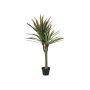 Konstgjord Dracaena Fragrans RALIAN, konststam, grön-röd, 120cm