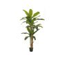 Konstgjord bananpalme FLORIS, äkta stam, 240cm