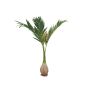 Plastfönixpalme JUNIS, 240cm