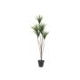 Konstgjord Dracaena Marginata KRISHAN, 130cm
