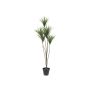 Konstgjord Dracaena Marginata KRISHAN, 130cm
