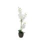 Konstgjord orkidé Phalaenopsis KATALIN, dekorativ kruka, vit, 80cm