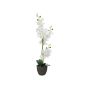Konstgjord orkidé Phalaenopsis KATALIN, dekorativ kruka, vit, 80cm