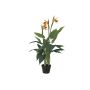 Strelitzia i plast LAKISHA, orange-violett, 90cm
