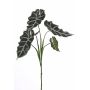Plast Alocasia Sanderiana MATHEA på stödpinne, grön-vit, 75cm