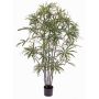 Konstgjord fingeraralia CARLIE, konstgjorda stammar, grön, 150cm