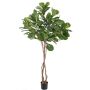 Konstgjord Ficus Lyrata HARVEY, naturstammar, grön, 190cm