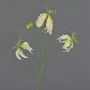 Konstgjord gloriosa TIANA, krämfärgad-grön-rosa, 85cm, Ø9-10cm