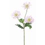 Konstgjord krysantemumkvist SOLVIE, vit-rosa, 75cm, Ø11-12cm