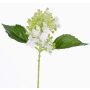 Konstgjord hortensia CHABY, vit-grön, 30cm, Ø9cm