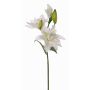 Konstgjord lilja ISALIE, vit-grön, 80cm, Ø13-16cm