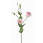Konstgjord lisianthus JUDIKA, rosa-vit-grön, 70cm, Ø6-7cm