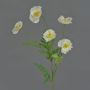 Textilkvist med vallmo KEIRA, vit, 65cm, Ø5-6cm