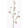 Konstgjord ballong-euforbia EMRAH, krämfärgad, 80cm, Ø3-4,5cm