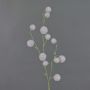 Konstgjord ballong-spindelblomma EMRAH, ljuslila, 80cm, Ø3-4,5cm