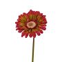 Konstgjord gerbera ANNEMARIE, röd-grön, 50cm, Ø10cm