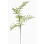 Konstgjord Asparagus plumosus-gren HAYDON, grön, 85cm