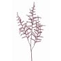 Konstgjord Asparagus acutifolius-gren JOCHEN, mörkröd, 70cm