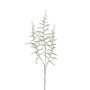 Konstgjord Asparagus acutifolius-gren JOCHEN, grön, 70cm