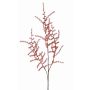 Konstgjord Asparagus acutifolius-gren JOCHEN, orange, 70cm