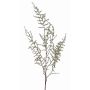 Konstgjord Asparagus acutifolius-gren JOCHEN, grön, 130cm
