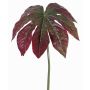 Konstblad Aralia IMANA, rödgrönt, 80cm