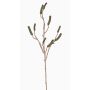Konstgjord cylinderputzer-gren SIRIUS med frukter, grön, 90cm
