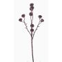 Konstgjord eukalyptusgren BASILIUS med frukter, brun, 60cm
