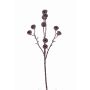 Konstgjord eukalyptusgren BASILIUS med frukter, brun, 60cm