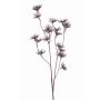 Konstgjord vild morot DORIAN, brun, 65cm, Ø4cm