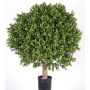 Konstgjord buxbom TOM, naturstam, crossdoor, 65cm, Ø50cm