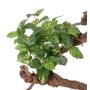 Konstgjord Pothos NAEL, sticka, svårantändlig, grön-vit, 50cm