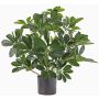 Textil-schefflera LUKAS i dekorativ kruka, grön, 55cm