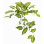 Konstblad Vanilla Planifolia orkidé CHARIS, på pinne, grön-gul, 45cm