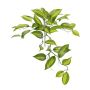 Konstblad Vanilla Planifolia orkidé CHARIS, på pinne, grön-gul, 45cm