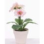 Konstgjord gerbera SIMONE i dekorativ kruka, rosa, 30cm, Ø9,5cm