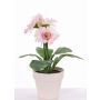 Konstgjord gerbera SIMONE i dekorativ kruka, rosa, 30cm, Ø9,5cm