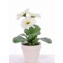 Konstgjord gerbera SIMONE i dekorativ kruka, vit, 30cm, Ø9,5cm