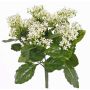 Textil Kalanchoe blossfeldiana LORRE på stativ, crossdoor, vit, 35cm, Ø30cm