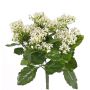 Textil Kalanchoe blossfeldiana LORRE på stativ, crossdoor, vit, 35cm, Ø30cm