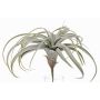 Tillandsia Xerographica ANELIA i plast på stödpinne, grågrön, 30cm