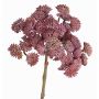 Konstgjord Sedum rubrotinctum DANICA, mörkröd, 20cm, Ø10cm