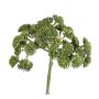 Konstgjord Sedum rubrotinctum DANICA, grön, 20cm, Ø10cm
