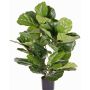 Konstgjord Ficus Lyrata RHYS, crossdoor, grön, 70cm