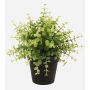 Konstgjord ört: Eukalyptus YANIS, grön, 20cm
