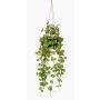 Konstväxt ljusblomma i hängkruka BOLTEN, grön, 50cm