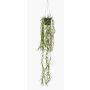 Konstväxt, korallkaktus, hängande blomkruka BOLTEN, grön, 80cm