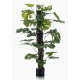 Konstväxt Philodendron Monstera Deliciosa LASO, 120cm